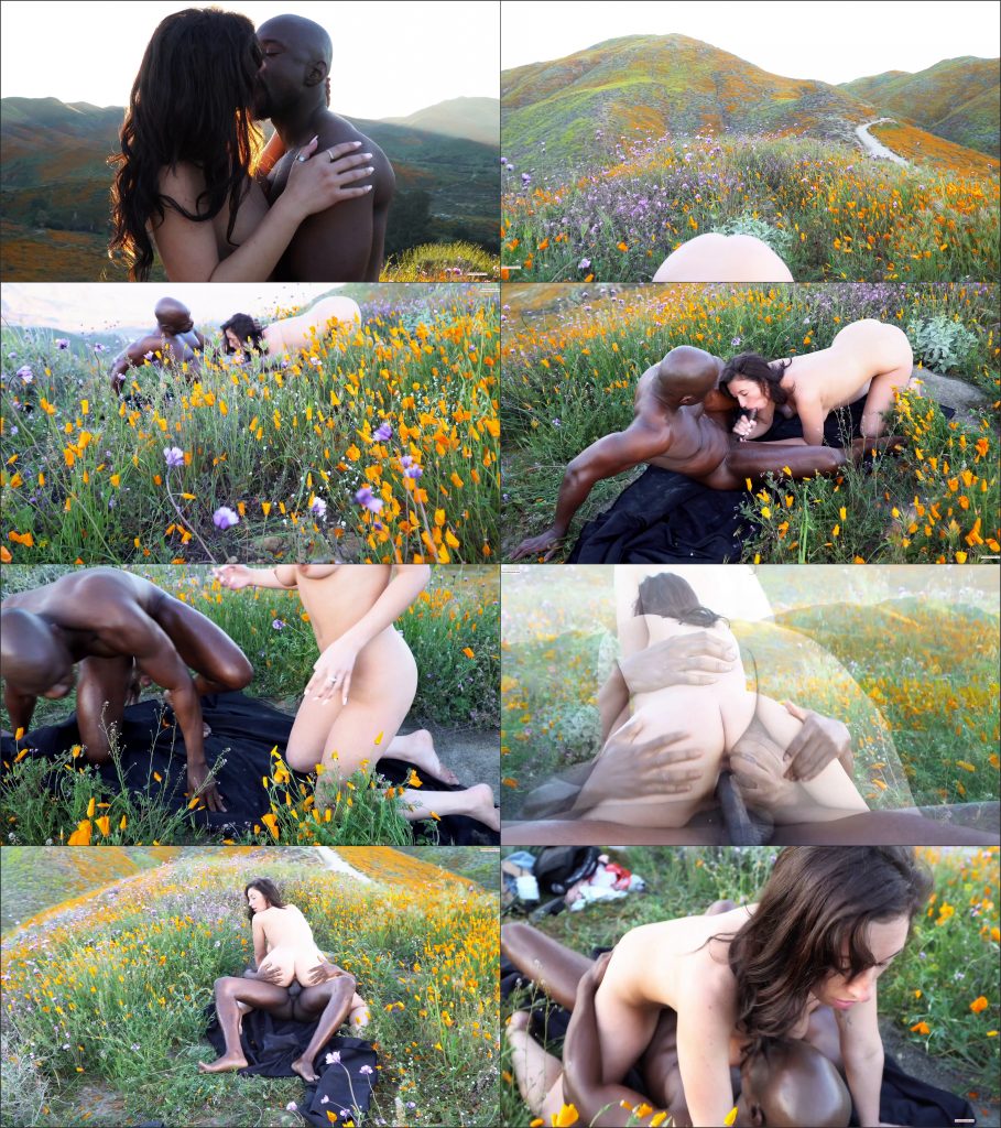 FuckingJackie Jackie Gets BBC in a Poppy Field