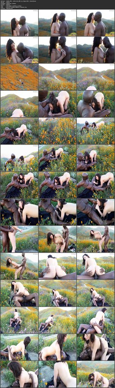 JACKIE OHH - Jackie Gets BBC in a Poppy Field